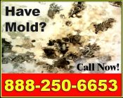 Call 888-255-6653 for a free on-site mold inspection in <?php echo 