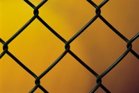 mold links
