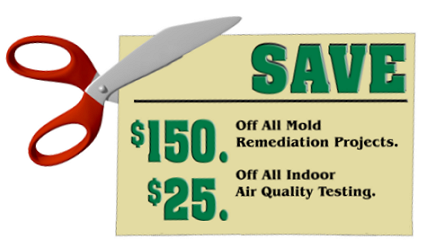 Mold inspection and removal sale