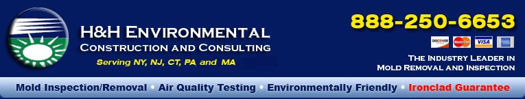 Mold Removal and Remediation | H&H Environmental Construction and Consulting