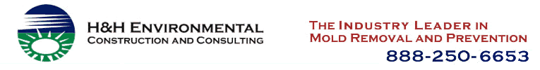 Mold Removal and Remediation | H&H Environmental Construction and Consulting