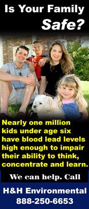 New York Lead Removal Services