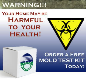 Order a Free Mold Test