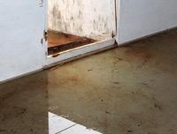 Water Removal and Mold